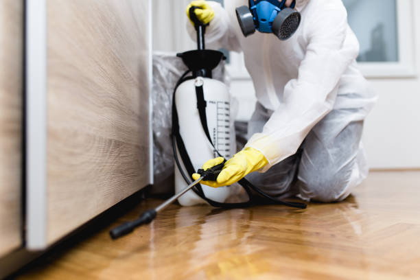Best Pest Removal Services  in Yonkers, NY