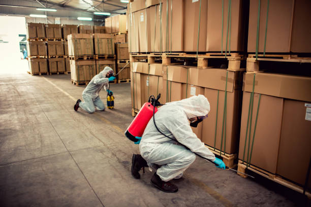 Best Exterminator Services  in Yonkers, NY