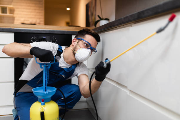 Best Mosquito Control Services  in Yonkers, NY
