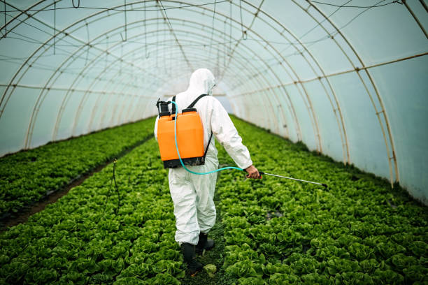 Reliable Yonkers, NY Pest Control Solutions