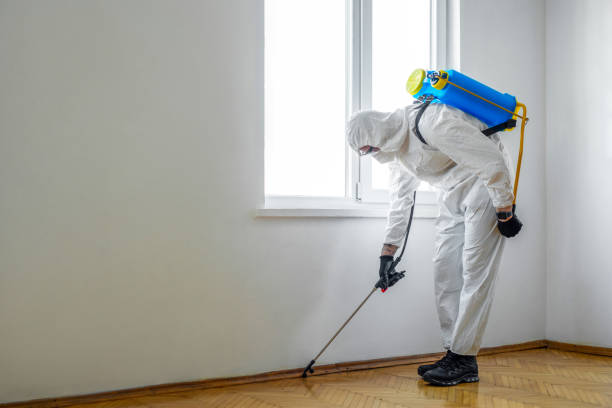 Best Residential Pest Control  in Yonkers, NY