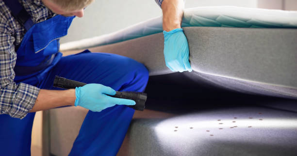 Best Bed Bug Extermination  in Yonkers, NY