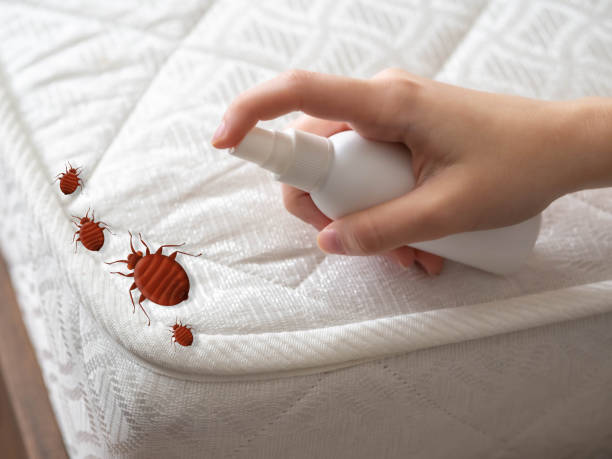 Best Flea Control Services  in Yonkers, NY