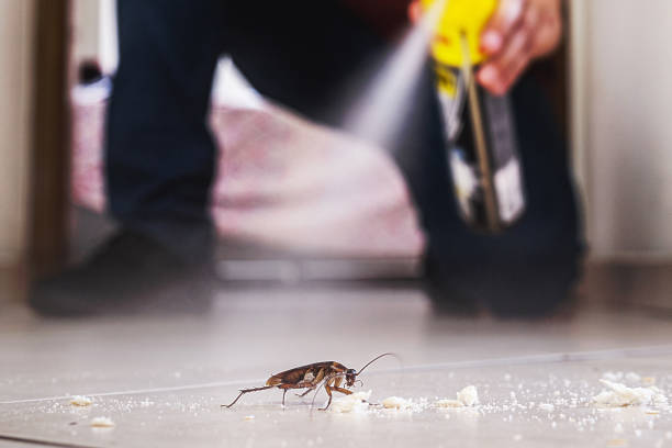 Best Local Pest Control Services  in Yonkers, NY