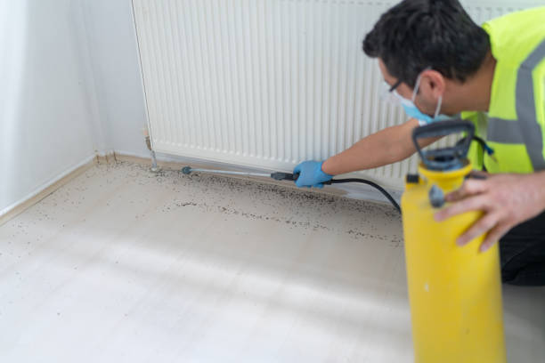 Best Pest Control Near Me  in Yonkers, NY